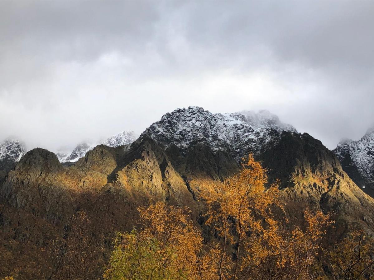 Laukvik Suites Esterno foto